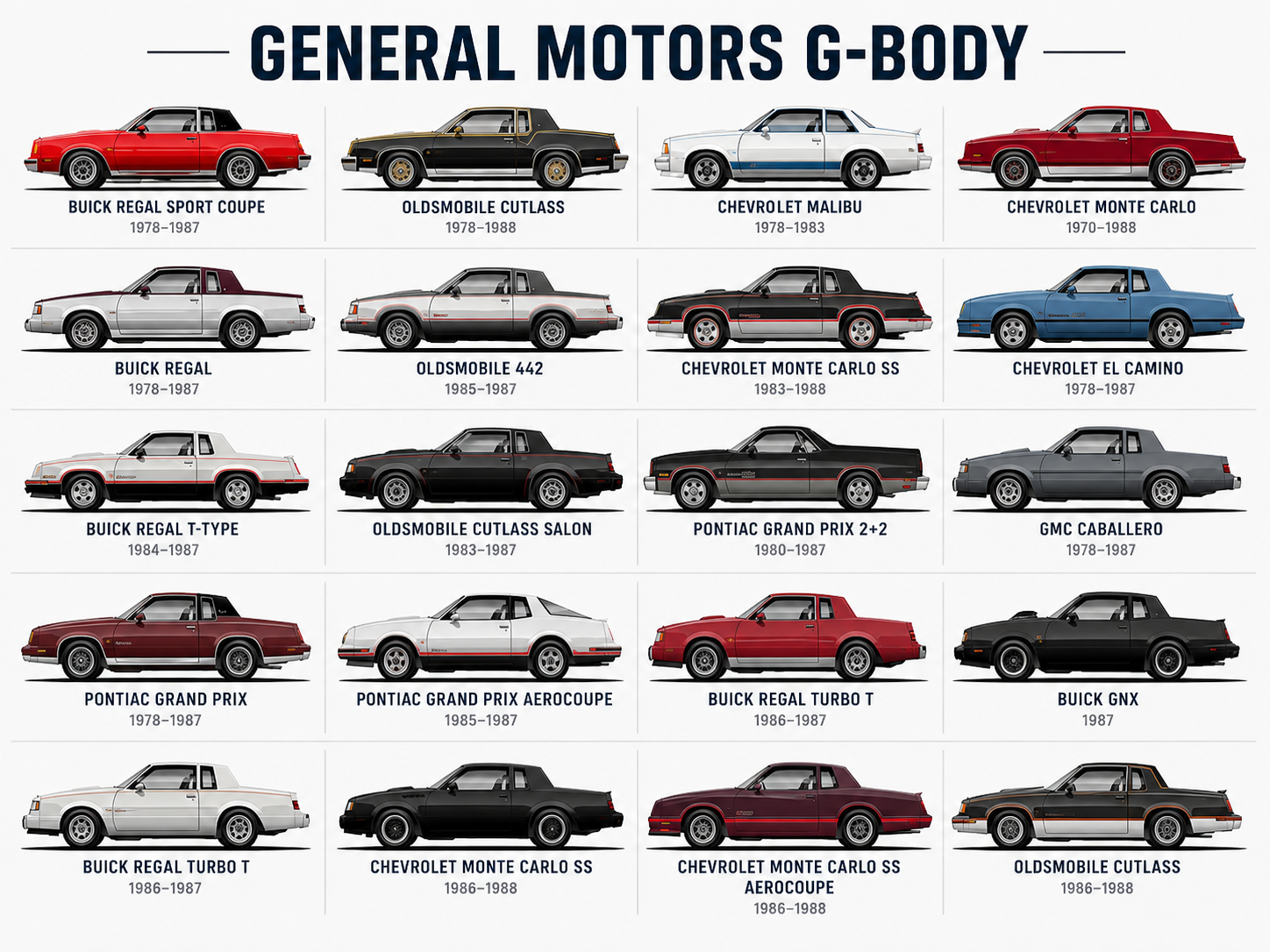G- Body